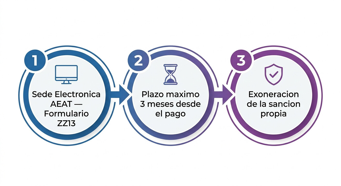 Proceso paso a paso para denunciar pago en efectivo ilegal ante la AEAT: formulario online, plazo 3 meses, documentación necesaria, exoneración sanción